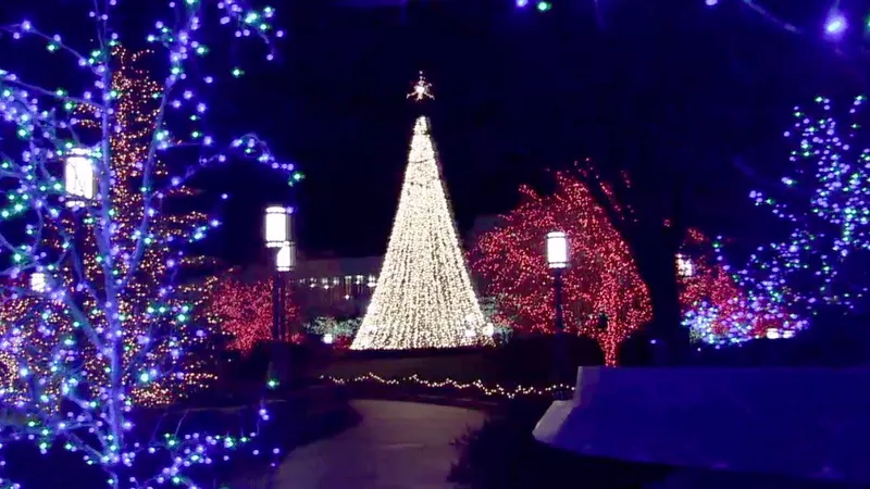 Elder Ulisses Soares testifies of the greatest selfless example of all, the Savior Jesus Christ.