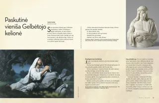 the saviors final lonely journey PDF 1