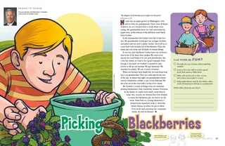 Picking Blackberries