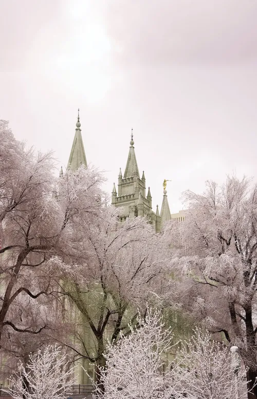 The spires of the Salt Lake Temple rising above the trees, all covered in snow in the winter.