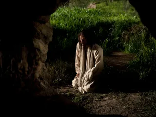 Christ kneeling in the Garden of Gethsemane