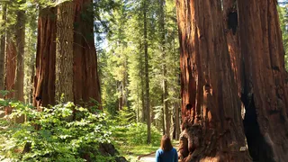 CSM young woman awed by God's creations