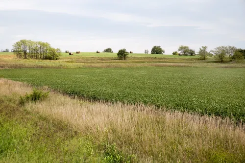 Grassy field with a slight rise in the distance.