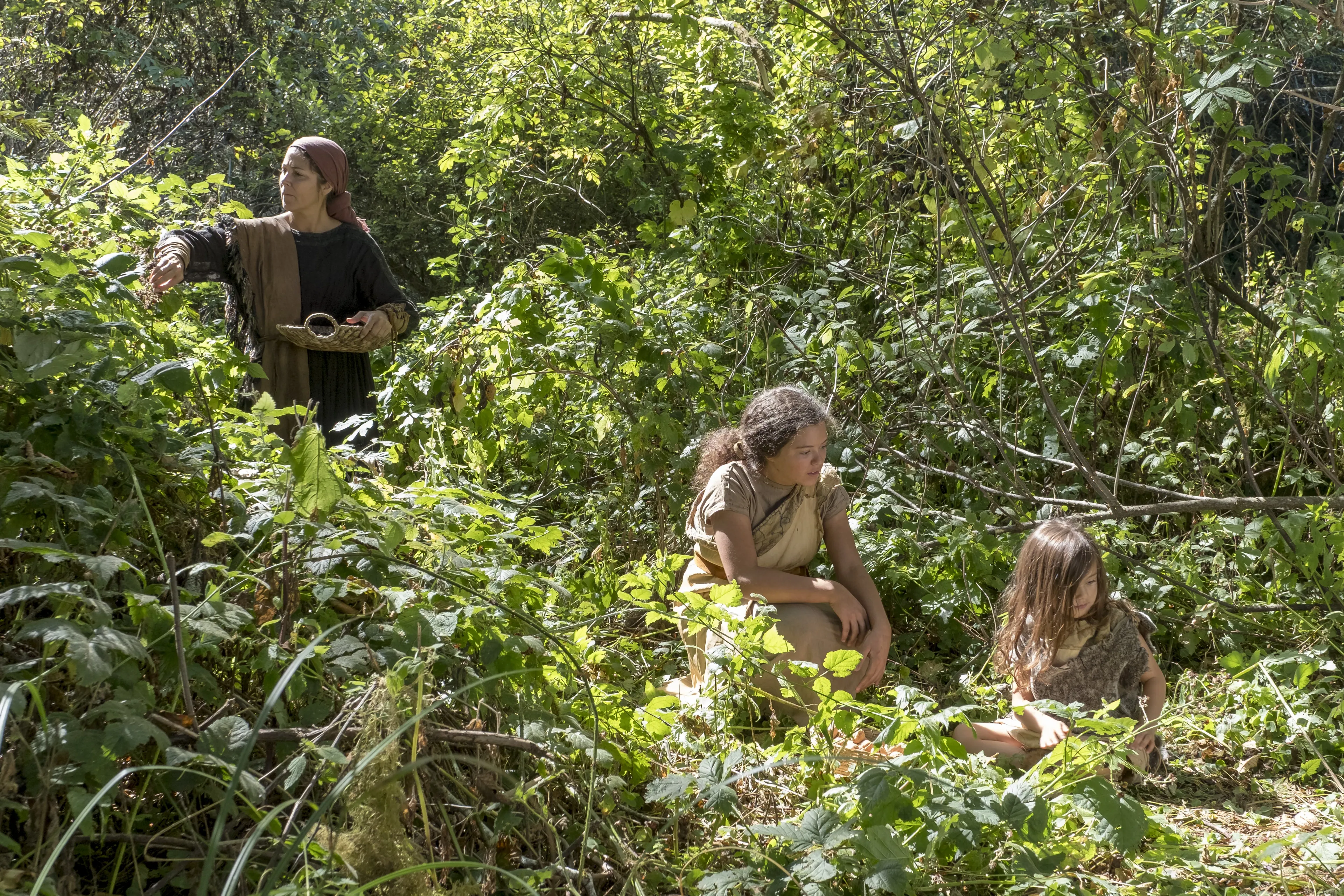 Lehi's family gathers food in the land of Bountiful.