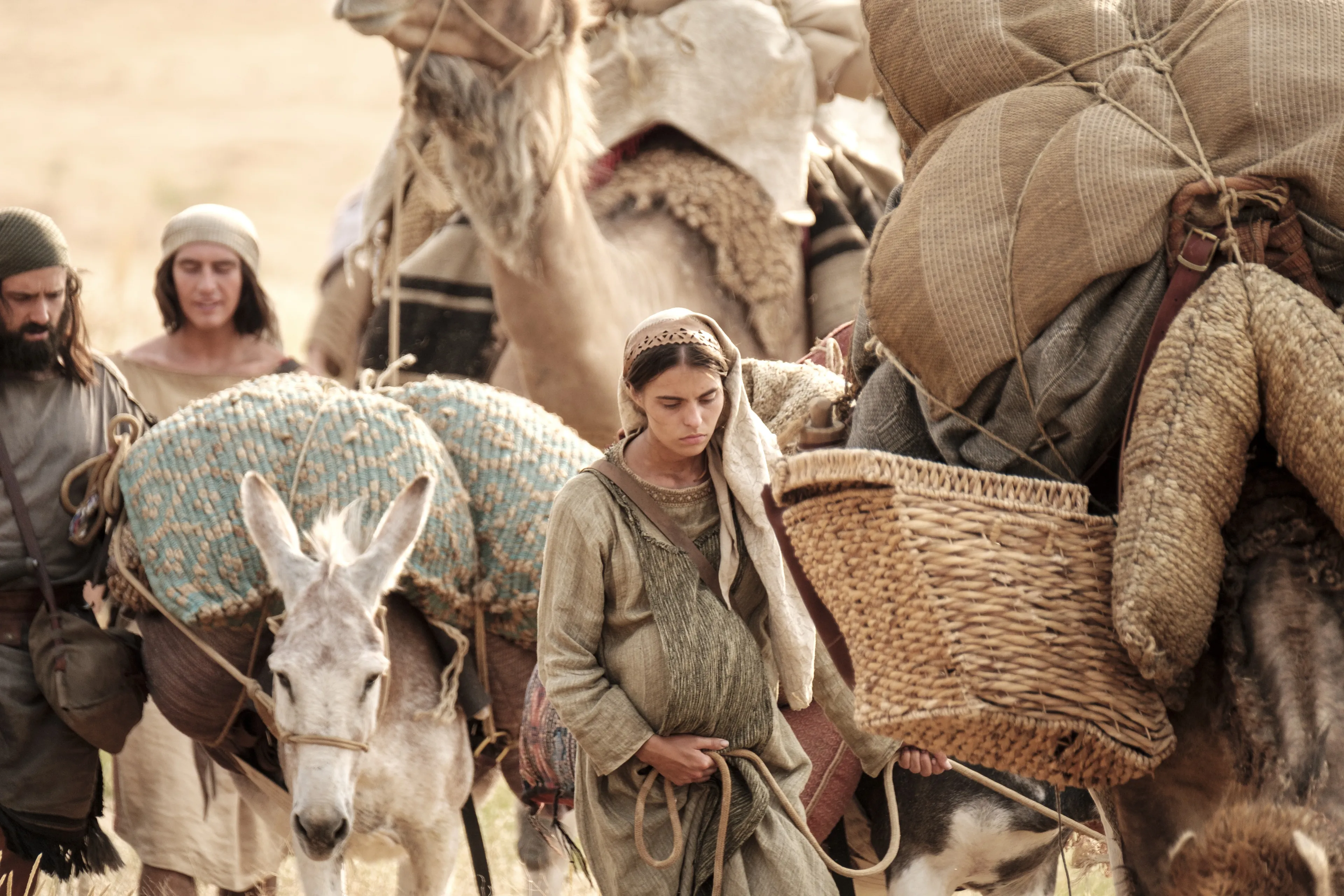A daughter of Ishmael travels with her family and Lehi's sons in the wilderness.