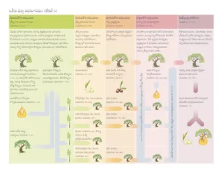 ఒలీవ చెట్టు ఉపమానము యొక్క రేఖాచిత్రం