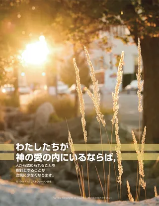 木々からのぞく草の茎を照らす太陽