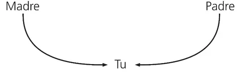 schema genitori-figlio