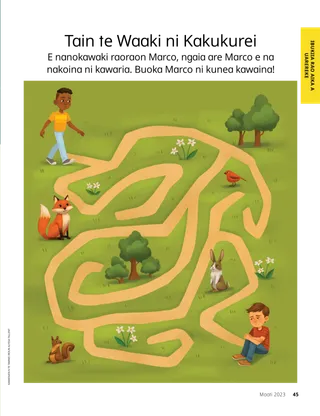 Te iteraniba n te waaki ni kakukurei n te kawai ni kamwaninga