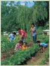 family in vegetable garden