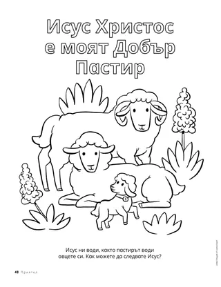 Страница за оцветяване с овце