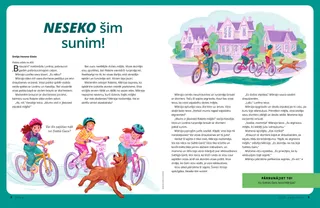 Stāsts PDF formātā