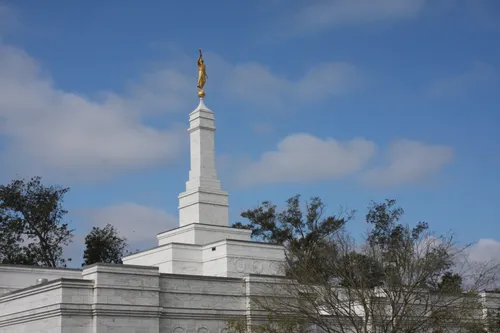 A view of one of the sides of the Baton Rouge Louisiana Temple, with a green tree next to the temple’s fence.