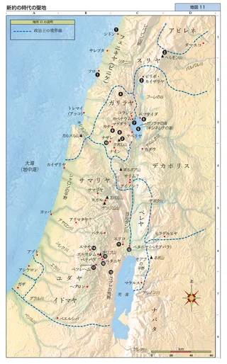 map, Holy Land in New Testament Times