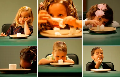 การทดสอบมาร์ชเมลโล