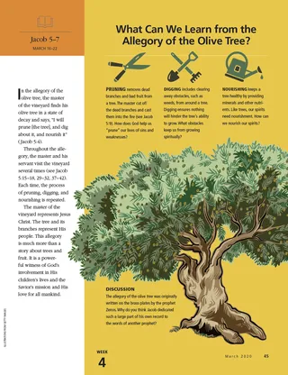 article on allegory of the olive tree