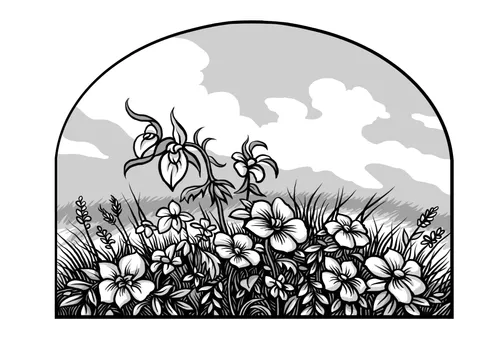 wildflowers on prairie