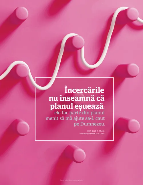 Afiș, citat din cuvintele surorii Craig