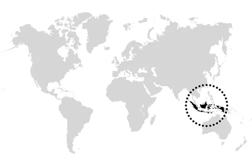 map with circle around Indonesia