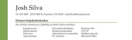eksempel på godt CV