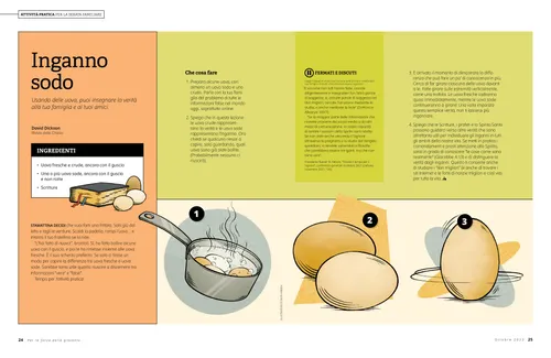 testo alternativo all’immagine