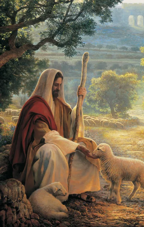Christ sitting wiatching a flock of sheep.