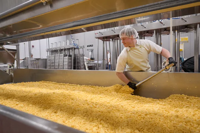 Welfare Square: Volunteers