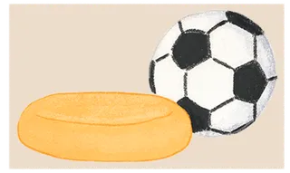 Cheese wheel with a ball.