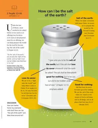 How can I be the salt of the earth