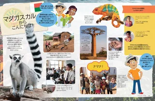 マダガスカルからこんにちは！