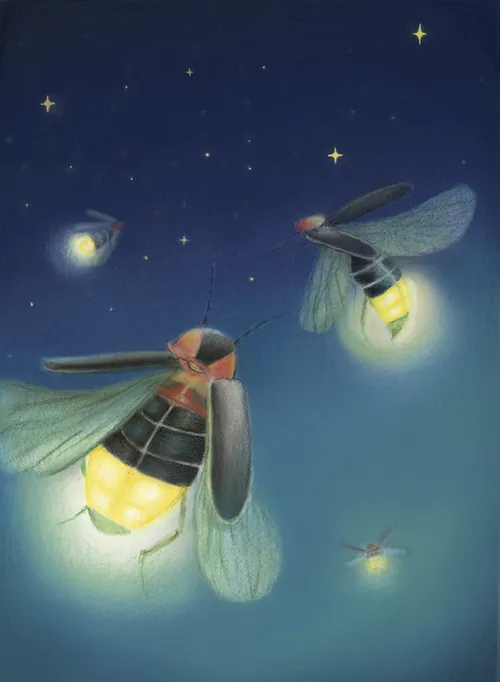 fireflies
