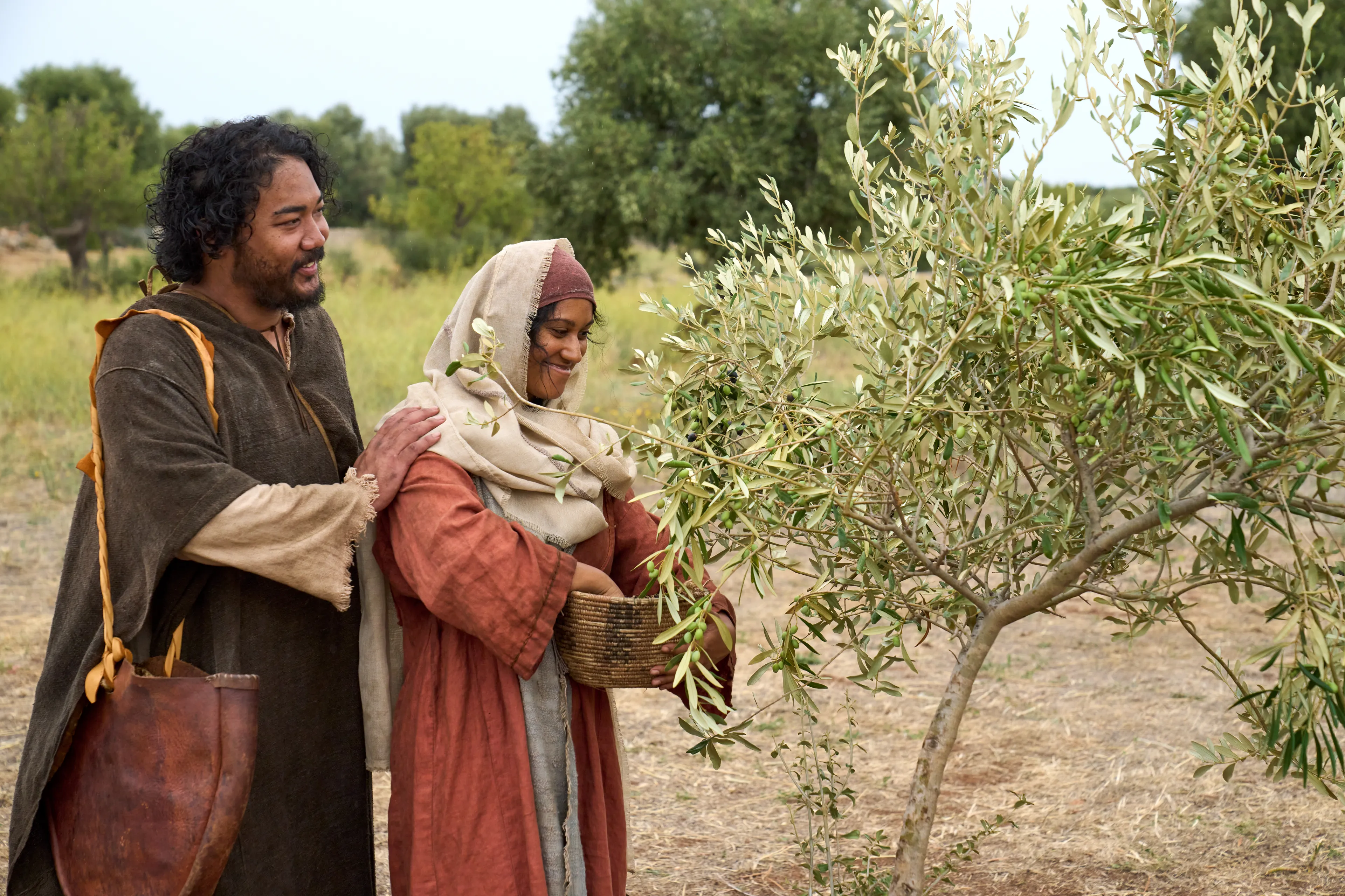 The Lord of the Vineyard watches as one of his servants labors on a planted branch in the vineyard. This is part of the olive tree allegory mentioned in Jacob 5.