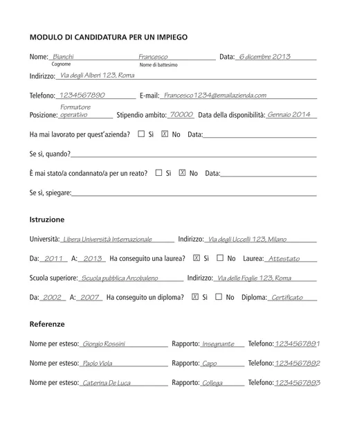 application example page 1