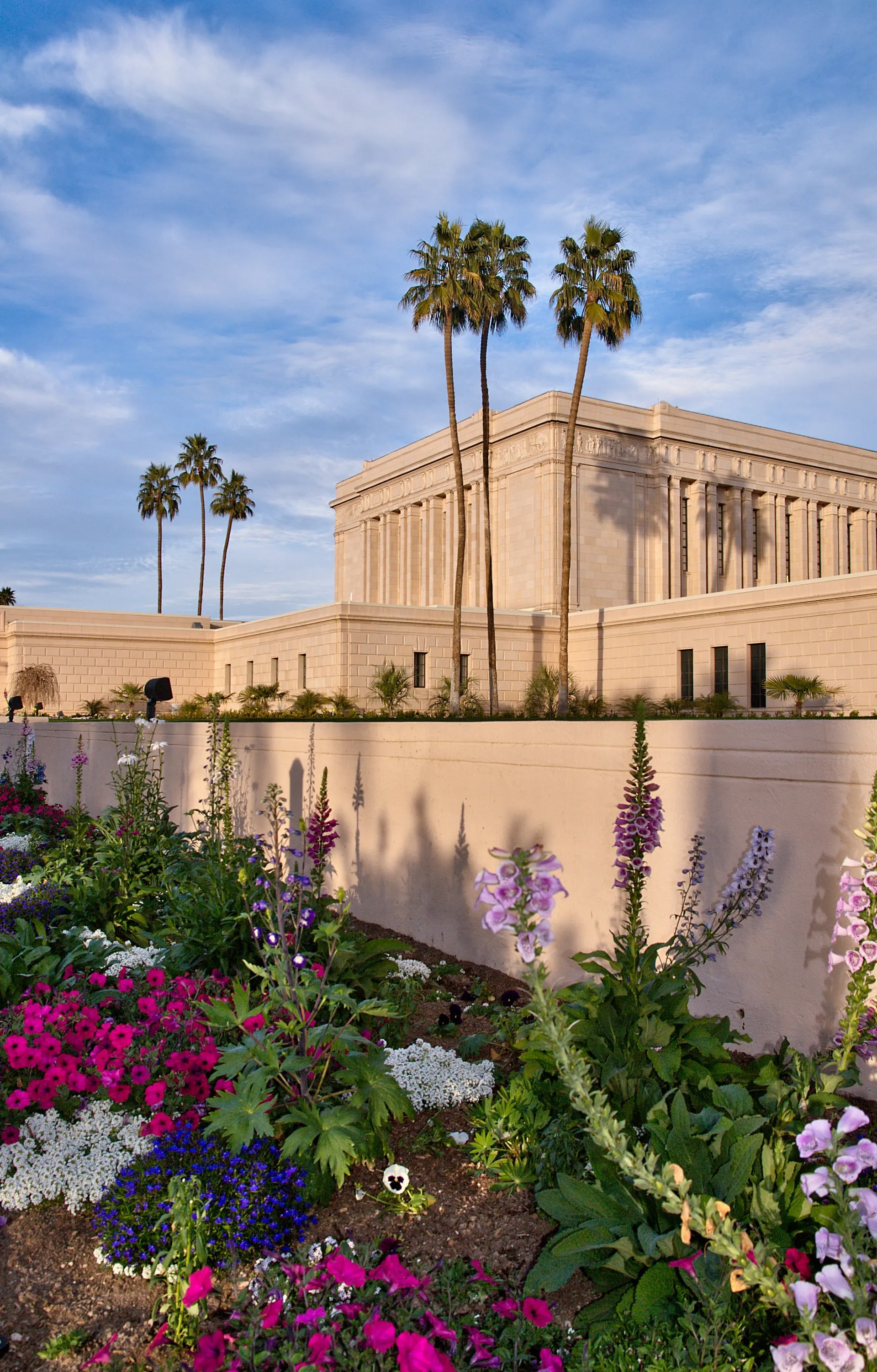 The Mesa Arizona Temple exterior, including scenery.