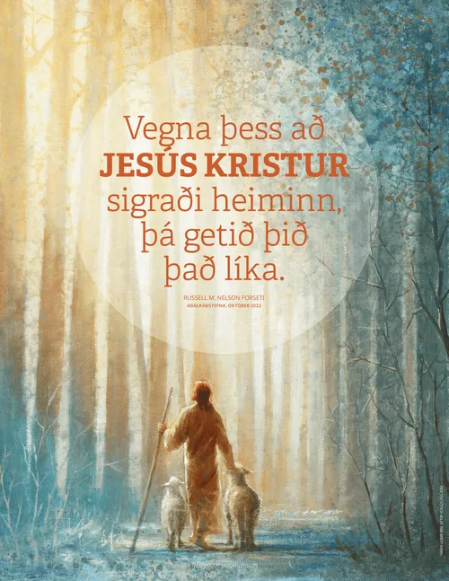 Tilvitnun Nelsons á veggspjaldi