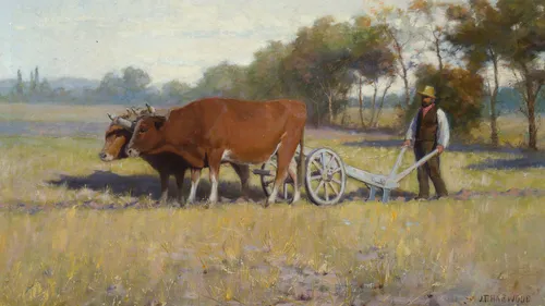 man plowing a field
