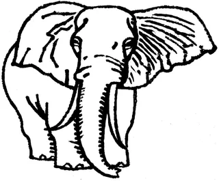 elephant