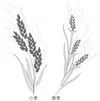 wheat, tares