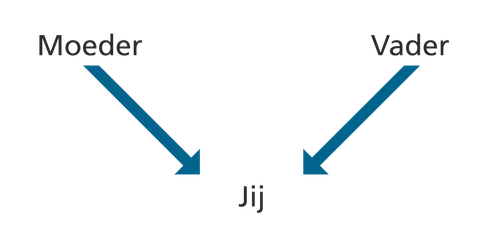 diagram, parents, you