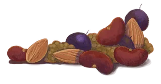 Beans, berries, and nuts
