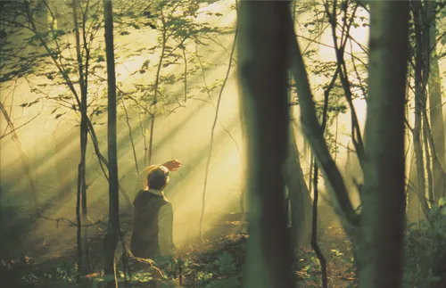Joseph in the Sacred Grove