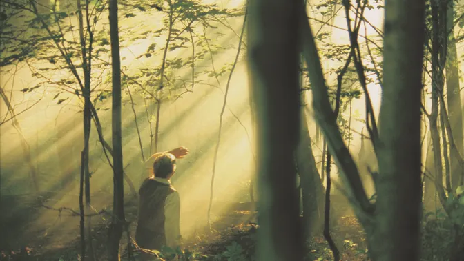 Joseph Smith, Jr. kneeling in the Sacred Grove during the First Vision.  There are shafts of light shining down on Joseph.