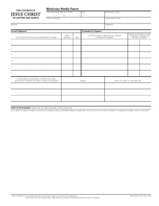 weekly report page 2