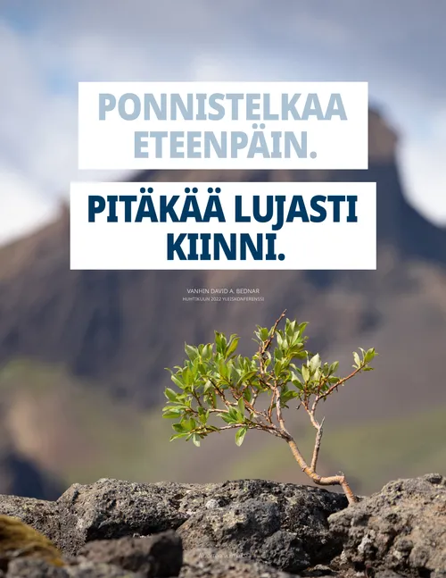 juliste kasvista, joka kasvaa kalliolla