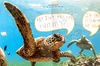 Comic of sea turtles