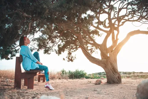 woman sitting on a bench under a tree