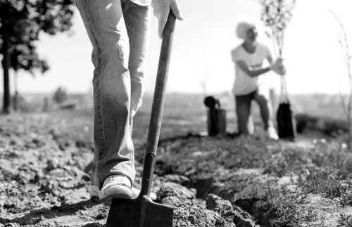 person digging with a shovel