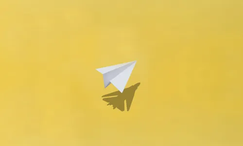 हवाइजहाजको छाया सँग कागजको हवाई जहाज  