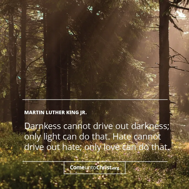 Darkness cannot drive out darkness; only light can do that. Hate cannot drive out hate; only love can do that