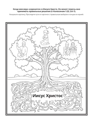 страница с заданием: когда моя вера укоренена в Иисусе Христе